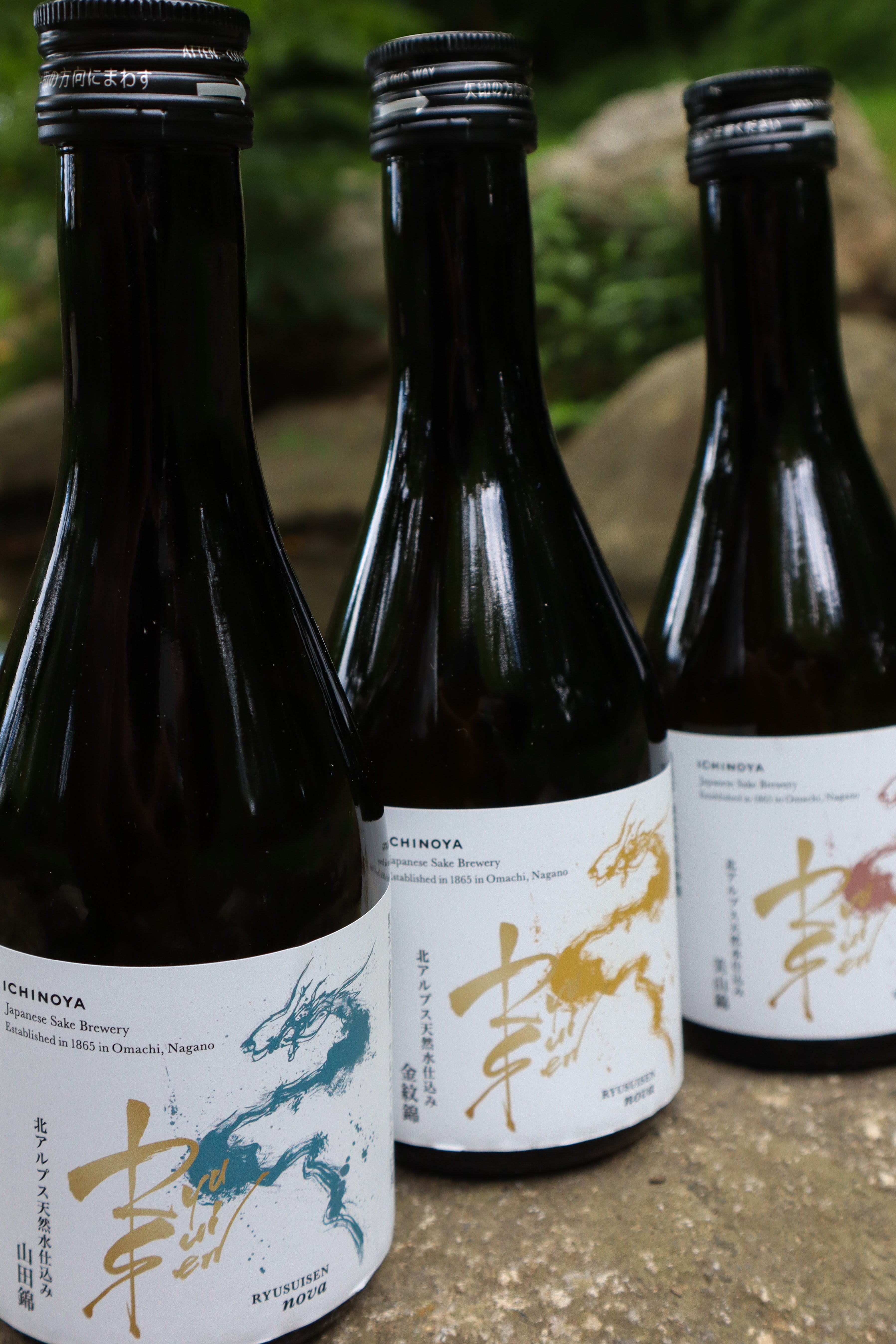 RYUSUISEN nova 飲み比べ3本セット（300ml×3）【専用箱付き、ギフトにも◎】